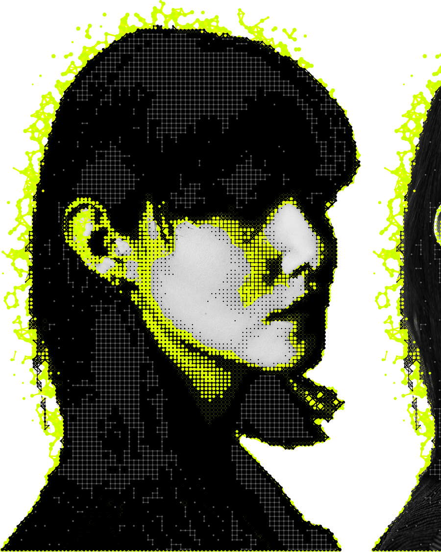Portrait: A face drawn as a network